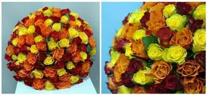 Букет из разноцветной кенийской розы